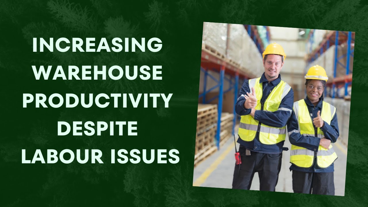 How to Increase Warehouse Productivity Despite Labour Issues